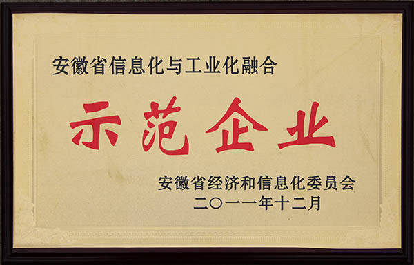 安徽省两化融会树模企业 安徽省两化融会树模企业